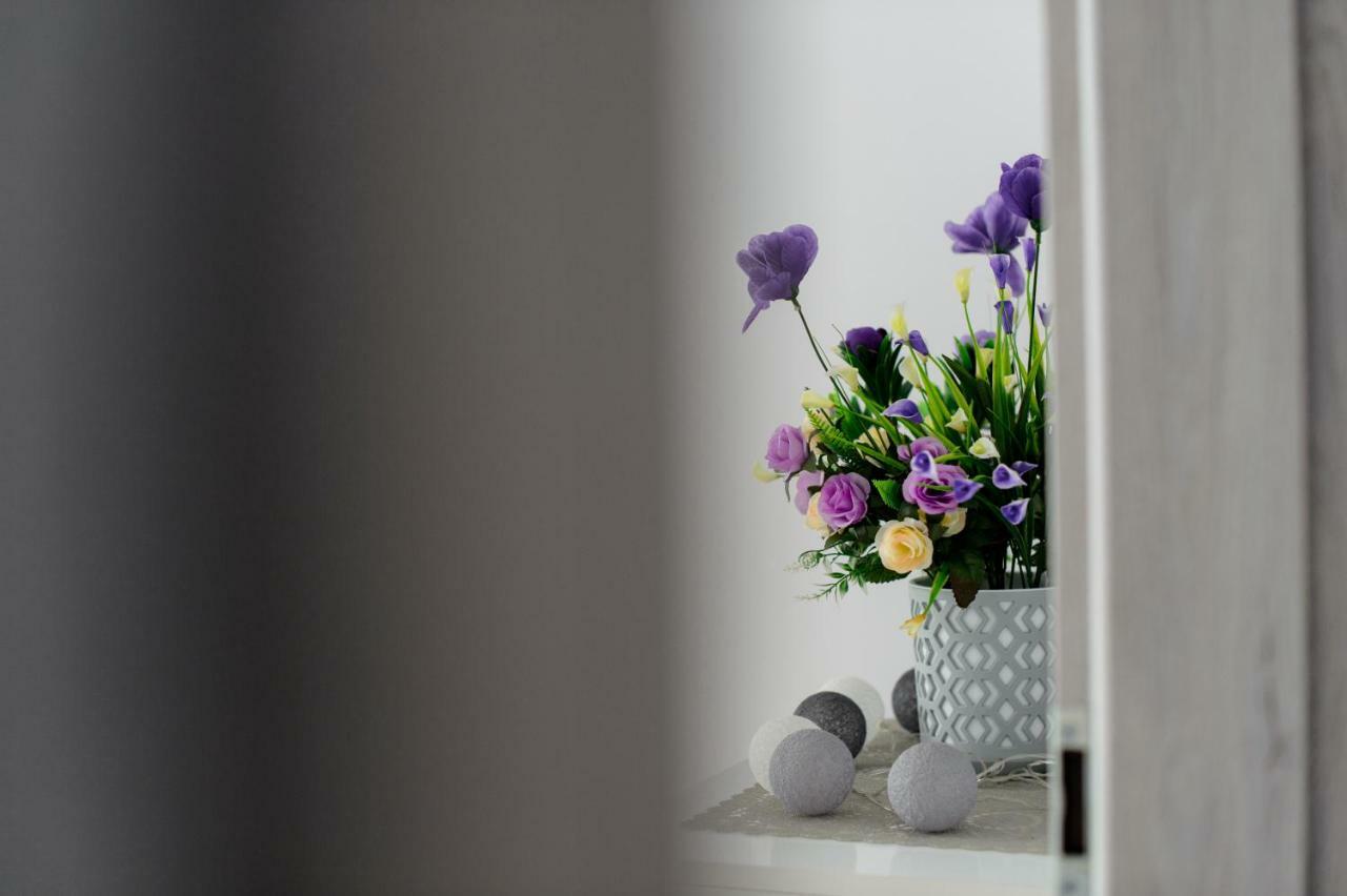 Apartament Przytulny Kielce Dış mekan fotoğraf